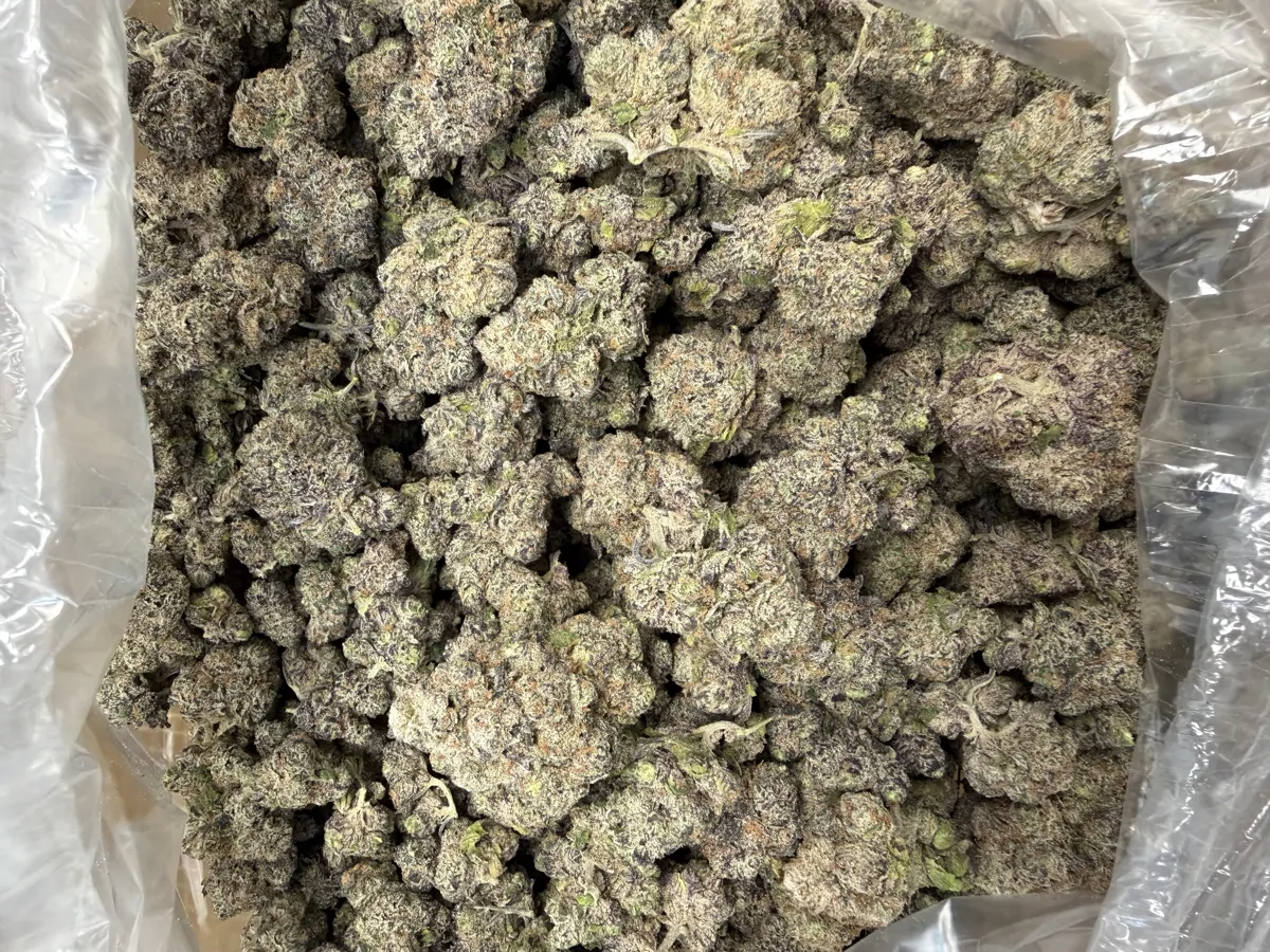 Red Velvet Runtz Flower